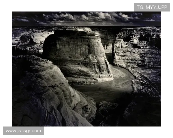 亚当斯的传奇人生与影响力探秘：从个人成就到全球视野的深度分析